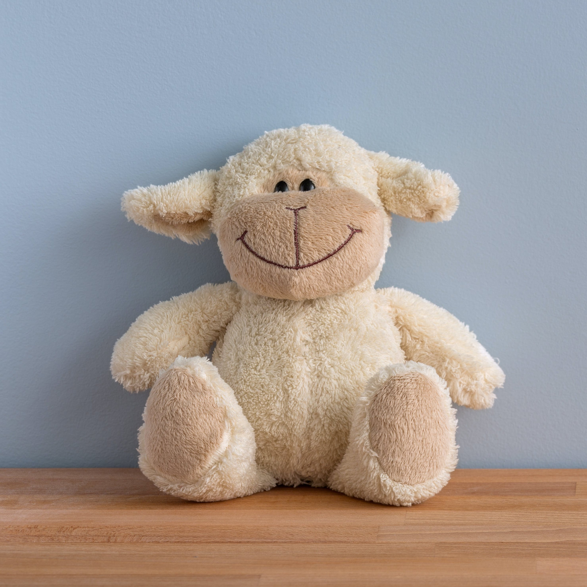 Sleepbound Discovery Call Sheep on table top in front of blue wall  image by Tetyana Kovyrina